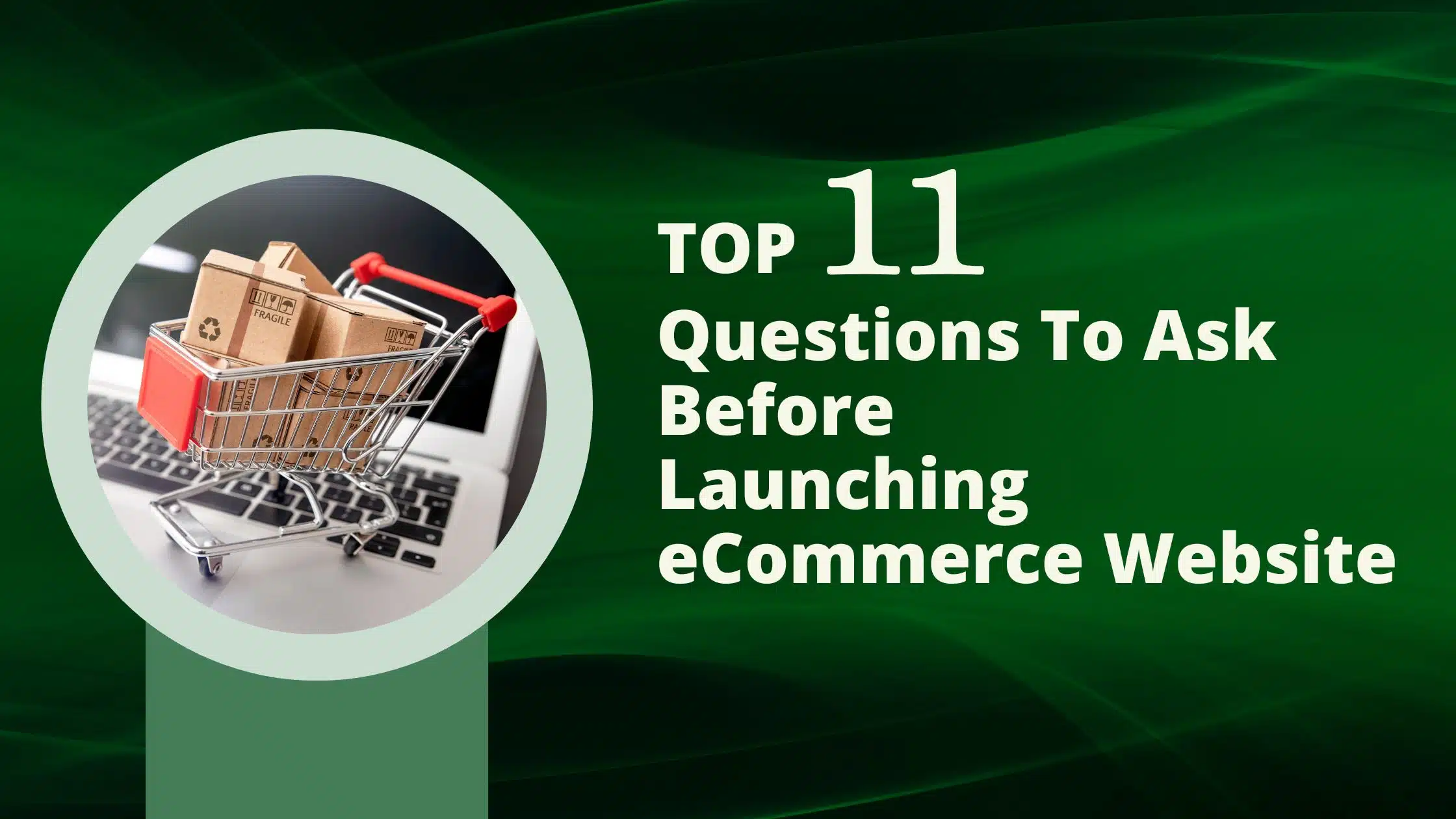 Read more about the article <strong>Top 11 Questions To Ask Before Launching Your eCommerce Website</strong>